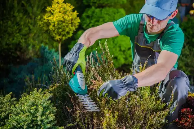 landscaping services Lima
